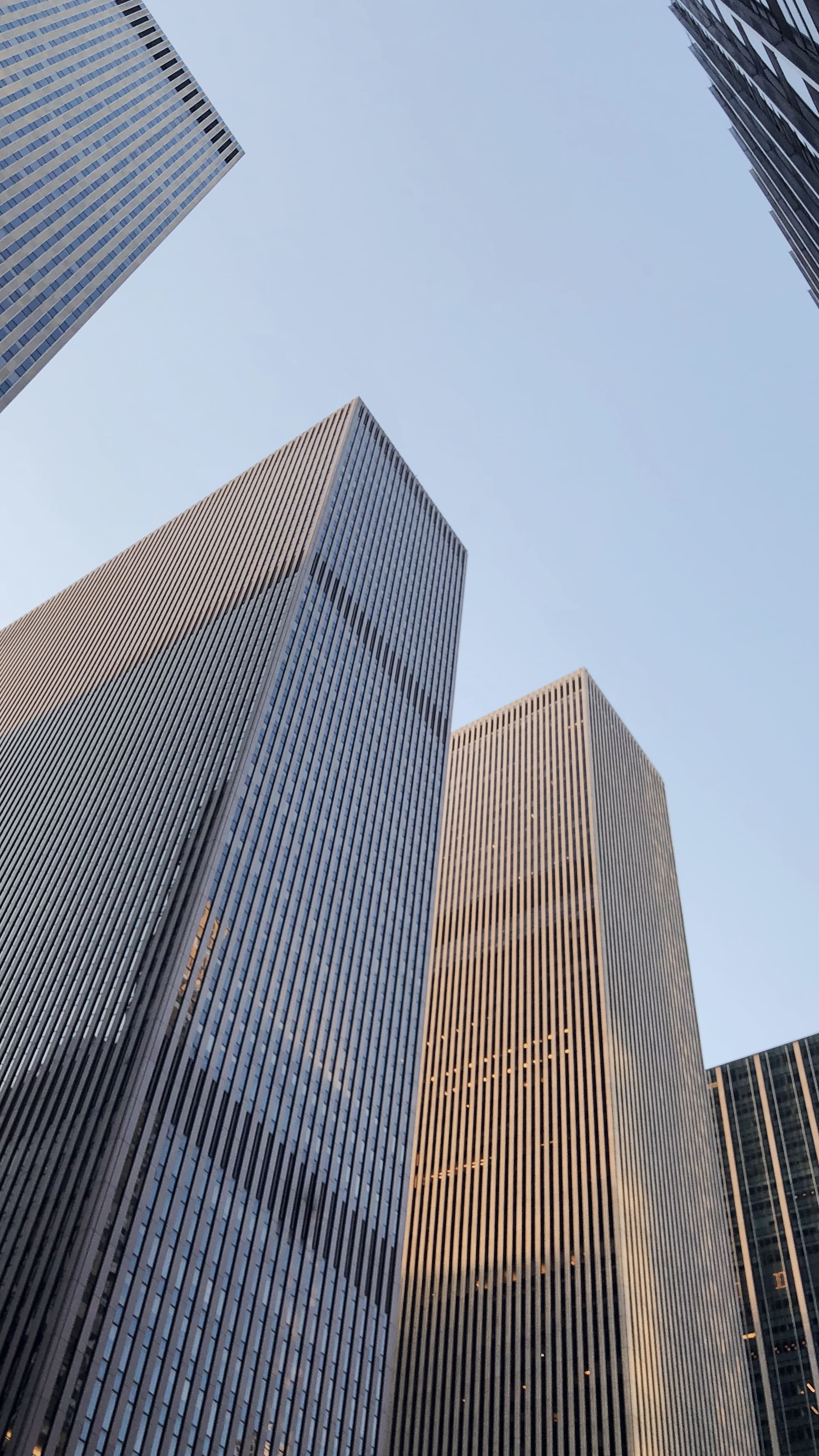 ny