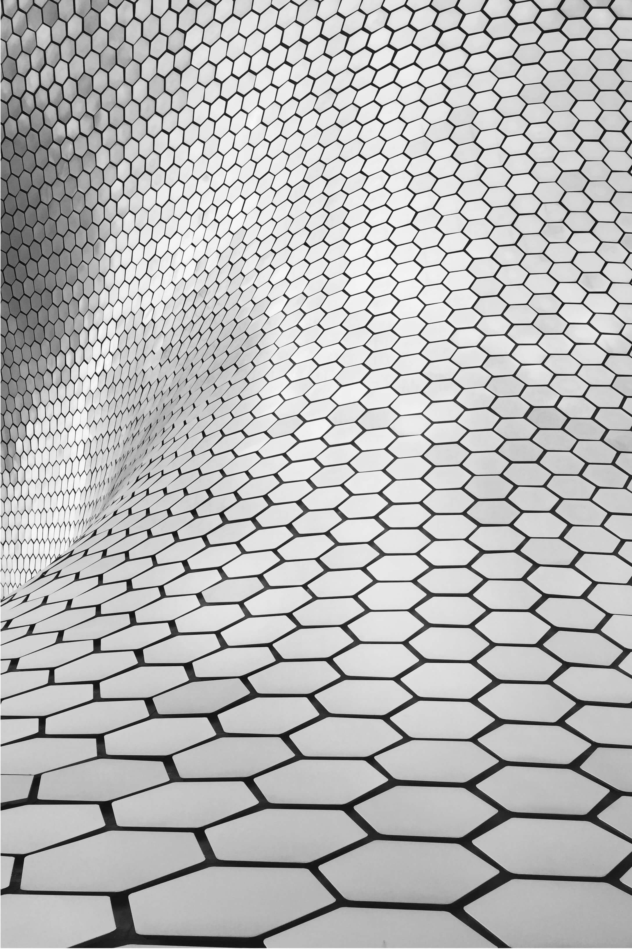 soumaya